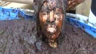Cow Shit, ScatKings.com Scat Porn 3 ScatKings.com Scat Porn