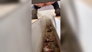 ditch126, ScatKings.com Scat Porn 30 ScatKings.com Scat Porn